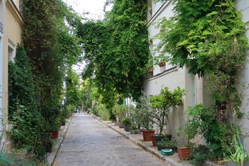 Pittoresque rue des Thermopyles dans la ville de Paris, ruelle pavée végétalisée et verdoyante en été, avec de nombreuses plantes vertes devant les façades des maisons (France)