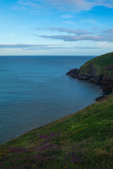 Fototapeta premium view of the coast,Cliff Walk in Ardmore, 