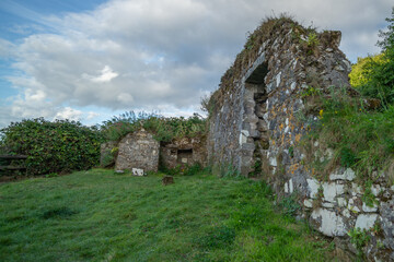 Fototapeta na wymiar St. Declan's Well and Church (Ruins) Ballinamona, Ardmore, Co. Waterford