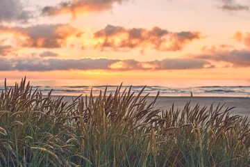 Sonnenuntergang an der dänischen Küste bei Saltum Strand. Foto in hoher Qualität © Florian Kunde