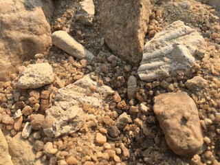 Shell in Sand