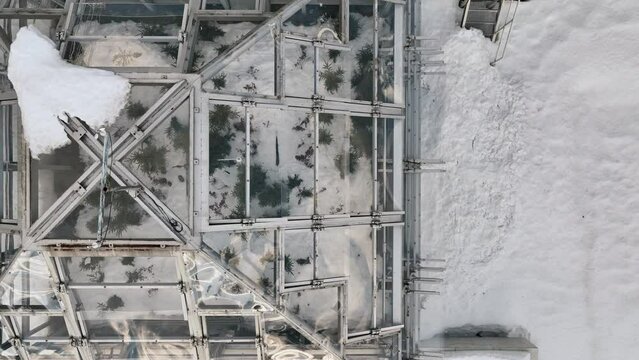 Technology station science greenhouse snow winter frost drone aerial open top chambers climate change research Bily Kriz, plant spruce Norway European mountain beech Fagus sylvatica common scientific