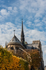 Fototapeta na wymiar The famous Notre-Dame de Paris cathedral, French Gothic architecture Paris, France