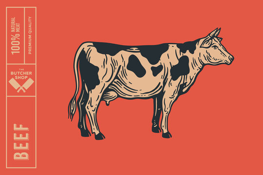 Cow in engraving style on a red background. Design element for animal books, butcher shops, farmers markets. Vector vintage illustration.