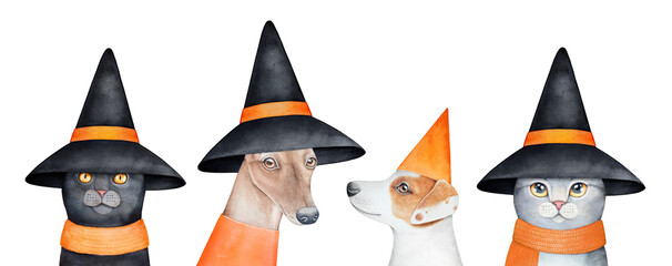 Watercolour illustration set of various Dogs and Cats characters wearing Halloween headgear: black witch hats and cap. Hand painted drawing, isolated clip art elements for creative design decoration.