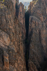 Fototapeta na wymiar Tree Grows Out of Crevice in Black Canyon