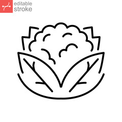 cauliflower icon. Organic Vegetables logo Cabbage. vegetable and diet from the garden. Organic healthy food. Outline style. Editable stroke vector illustration design on white background. EPS 10