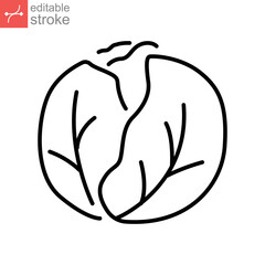 Cabbage icon. Green organic vegetable and food logo. vegetarian salad recipe. Fresh  leaves lettuce. Outline style pictogram Editable stroke. Vector illustration. Design on white background. EPS 10
