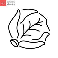 Cabbage icon. Green organic vegetable and food logo. vegetarian salad recipe. Fresh  leaves lettuce. Outline style pictogram Editable stroke. Vector illustration. Design on white background. EPS 10