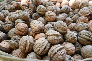 Nueces de castilla