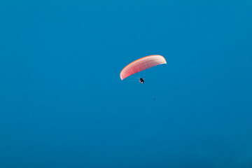 Paraglider