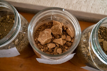 Different samples of soils in Climat of origin, grand cru wine tasting in underground cellars caves of French wine domain in Puligny-Motrachet village, Burgundy, France