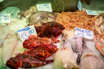 Assortment of fresh catch of fishes, seashells, molluscs on ice on fish market in Spain