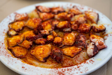 Tasty seafood, grilled octopus galician style with red pimento paprika and potatoes