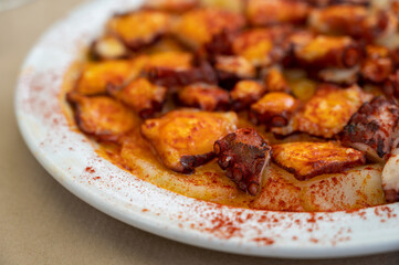Tasty seafood, grilled octopus galician style with red pimento paprika and potatoes