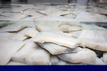 White salted and dried bacalao codfish is watertank, traditional Spanish food on display in fish shop