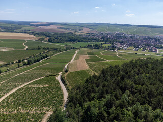 Aerial view on Chablis Grand Cru appellation vineyards with grapes growing on limestone and marl soils, Burdundy, France