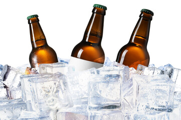 Bottles of beer on ice cubes against white background
