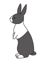 ダッチうさぎ　立つポーズ　横向き