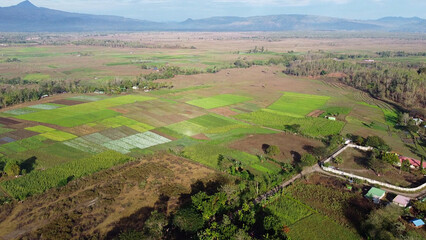 Fototapeta premium Aerial view of agricultural farming landscape in rural countryside, patterned, well-tended fields of crops, in Maliana, Timor-Leste, on the border with Indonesia, Southeast Asia 