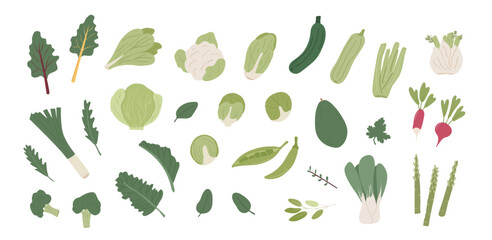 Collection of iron rich different vegetables. Bundle of organic natural greens, salad and herbs. Vegan vegetarian healthy diet ingredients. Vector illustration flat style isolated on white background.