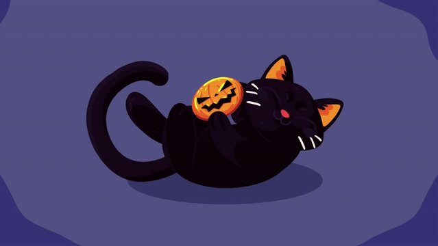 happy halloween animation with cat and pumpkin