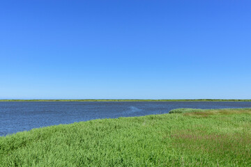 北海道　濤沸湖　初夏

