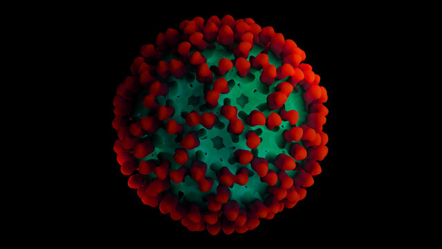 Chikungunya virus, medical accurate 3d rendering science illustration. This virus CHIKV is borne by mosquitoes, causing fever. Clinical signs are similar to dengue and Zika. Isolated black background