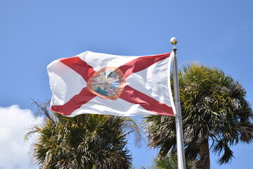 Florida flag with blue sky and palm trees in the background