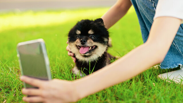 Happy young asian woman sitting on grass and photo selfie in the park with her dog. Pet lover concept