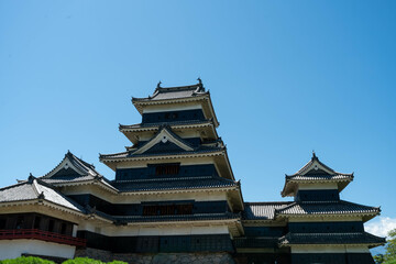 Fototapeta premium 国宝 松本城