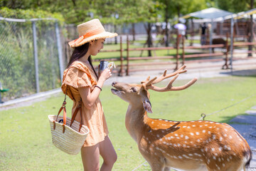 Woman visit sika deer farm in taiwan