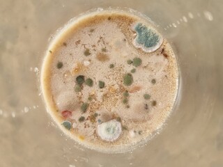 green and brown fungus which is growing on a type of beverage