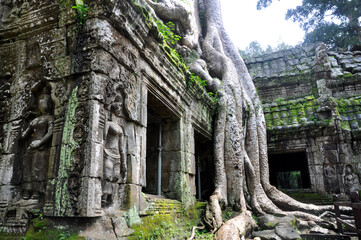 Ta Prohm at Angkor Wat