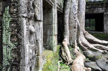Fototapeta na wymiar Ta Prohm at Angkor Wat