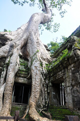 Ta Prohm at Angkor Wat