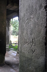 Ta Prohm at Angkor Wat