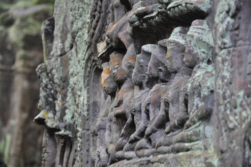 Ta Prohm at Angkor Wat