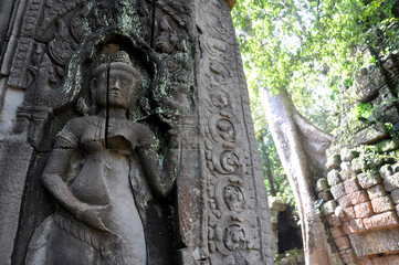 Ta Prohm at Angkor Wat