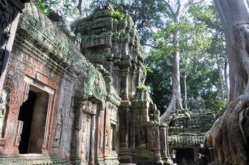 Ta Prohm at Angkor Wat