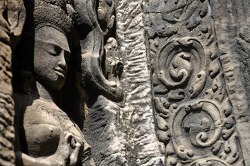 Ta Prohm at Angkor Wat