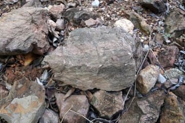 Shale sedimentary rock on a nature background. Shale is often a red or gray rock made of mostly clay minerals.