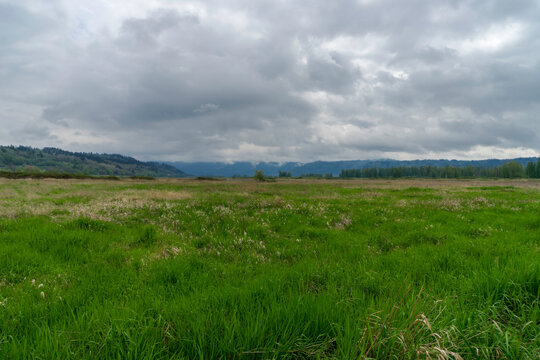 Steigerwald Lake National Wildlife Refuge, Camas Washington	