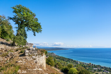 An old tree near the sheer wall of a dilapidated fortress seemed to hang over the sea. New Athos, Abkhazia.