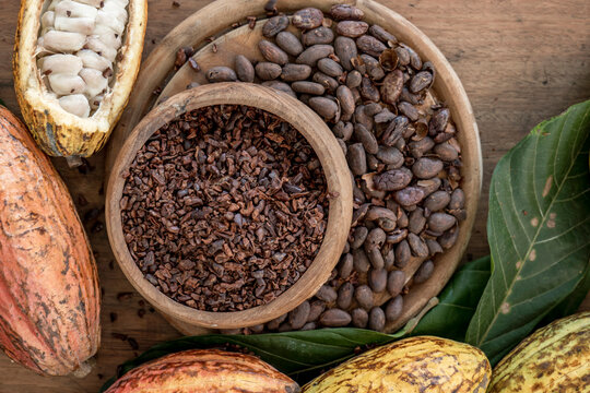 Cocoa beans pods, chocolate bar pieces, cocoa powder