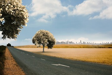 Road leading out to the horizon