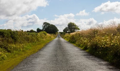 Gordijnen Country road © vectorfusionart