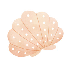 shell