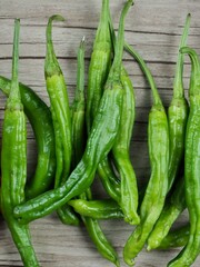 신선한 유기농 채소 녹색 꽈리고추