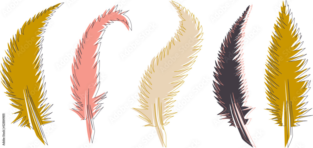 Wall mural set of feathers vector isolated bird illustration